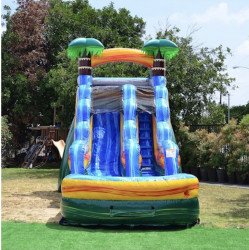 15ft Cali Palm Waterslide